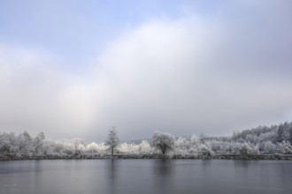 Snowy trees and a frozen lake under a cloudy sky create a calm winter atmosphere,