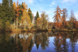 A lake reflecting autumn trees and a small hut under a blue sky,