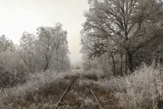 Abandoned train tracks in a frosty winter landscape near Mühlingen, with fog and hoarfrost on trees