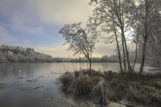 Winter landscape with frozen lake and frost-covered trees under a calm sky,
