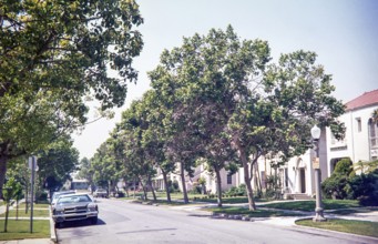 1972 Chevrolet Impala car on suburban tree-lined street of housing, California, USA 1976