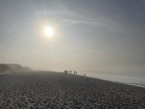 Fog on the beach in the Western Pomerania Lagoon Area National Park, Darss-Zingster Boddenkette,