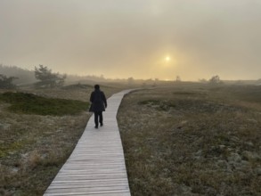 Walking at sunset, fog. Landscape with hiking trails through the Western Pomerania Lagoon Area