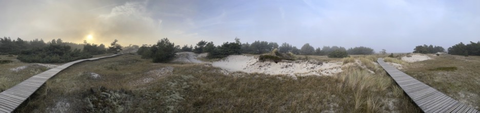 Landscape with hiking trails through the Western Pomerania Lagoon Area National Park. panorama,