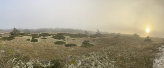 Sunset, fog. Landscape in the Western Pomeranian Lagoon Area National Park. panorama,