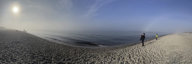 Panorama, beach in the Western Pomerania Lagoon Area National Park, Darss-Zingster Boddenkette,