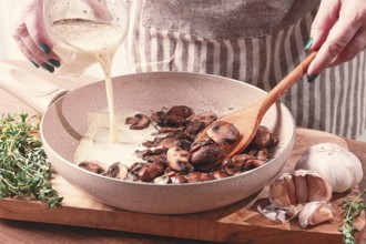 Cooking sauce with mushrooms, a woman pours cream into a pan with mushrooms, natural light,
