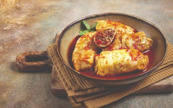Stuffed cabbage rolls with minced meat, in tomato sauce, top view, without people, in the spotlight