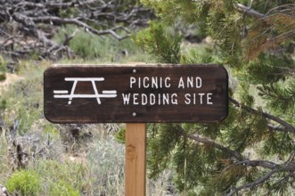 Picnic and wedding spot sign between trees, Grand Canyon National Park, Arizona, USA