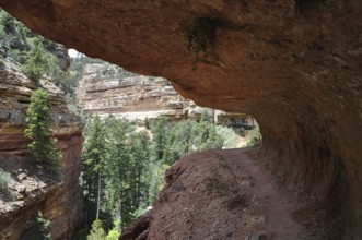 Hiking trail under an overhang with views of green trees and rock walls, Grand Canyon National