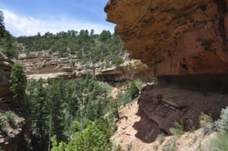 Red rock wall with lush greenery in a deep canyon landscape, Grand Canyon National Park, Arizona,