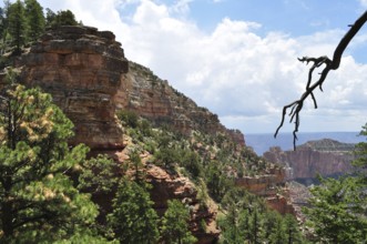 Impressive rocky landscape with green trees and vast views, Grand Canyon National Park, Arizona,