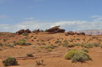 Desert landscape with red rock formations and sparse vegetation under a blue sky with clouds,