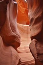 Strong shadows in a dramatic sandstone gorge in shades of orange with bright colors, Antelope