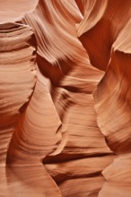Close-up of smooth, textured orange sandstone with natural shapes, Antelope Canyon, Navajo Nation