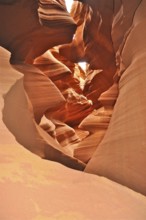 Warm lit sandstone with wonderful forms of natural erosions on a sunny day, Antelope Canyon, Navajo
