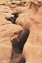 Deep sandstone gorge with curved, eroded walls in earthy tones, Antelope Canyon, Navajo Nation