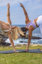 Two women practicing yoga on mats atop a grassy coastal cliff, balancing and stretching in peaceful