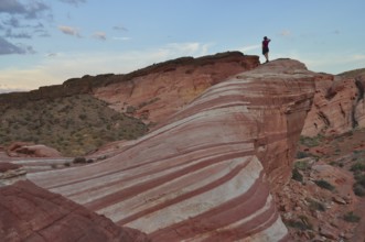 Person standing boldly on a striped cliff in the middle of the desert, Valley of Fire State Park,