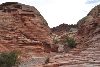 Wide landscape with red rock formations and sparse vegetation, Valley of Fire State Park, Nevada,