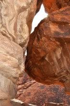 Impressive red sandstone rock formation in a narrow gorge under direct sunlight, Valley of Fire