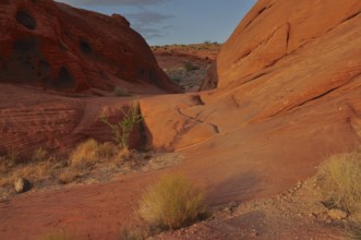 Red rocks with sparse vegetation illuminated by warm evening sun, Valley of Fire State Park,
