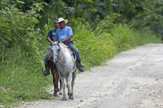 Guatemalan men wearing cowboy hats ride horses in Petén Department, Guatemala