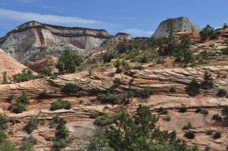 Ribbed rock structures with vegetation under a clear sky in a mountainous landscape, Zion National