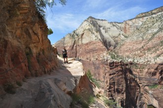 Person on a narrow hiking trail to Angel's Landing viewpoint along a red rocky mountain range, Zion