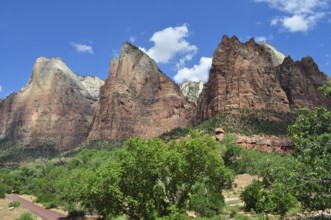 Impressive red rock formations against blue sky and green trees, Zion National Park, Utah, USA