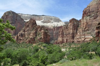 Red rocks and green vegetation under a clear blue sky, Zion National Park, Utah, USA