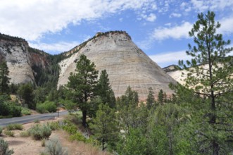 Characteristic hills and geological formations next to a tree-lined road, Zion National Park, Utah,