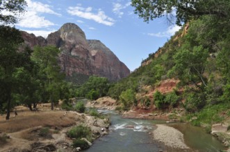 A river flows through a mountainous landscape with green trees and cliffs under a blue sky, Zion