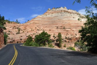 A winding road snakes through a landscape of orange rocks and trees, Zion National Park, Utah, USA