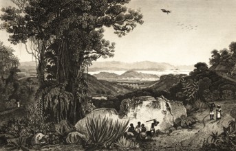 Rio de Janeiro, Brazil, bay, mountains, forest, lianas, nature, agaves, birds, locals,