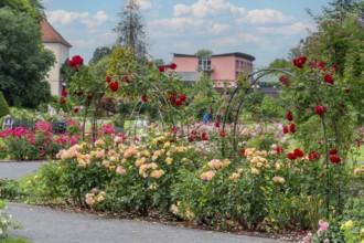 Rosengarten Kurort Bad Eilsen Germany