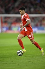 Luis Diaz FC Bayern Munich FCB (14) Action on the ball Football Bundesliga, DFB Cup, Allianz Arena,