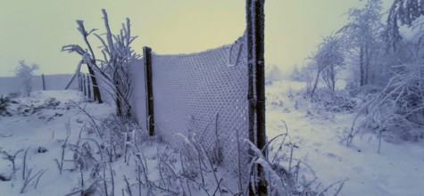 Snowy fence surrounded by a foggy winter landscape, winter, hiking in the Thuringian Forest nature