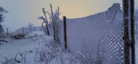 Snowy fence in a cold, foggy winter twilight, winter, hiking in the Thuringian Forest nature park