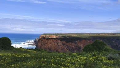 Red cliffs overlook the raging ocean with green vegetation and blooming flowers in the foreground,