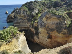 Steep coastal cliffs with green vegetation and deep blue sea in the background, Lagos, Algarve,