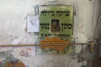 Sacrifice in a wall, Hasidic Synagogue, also Jacob Gansel Schul, is being restored, Lemberg,