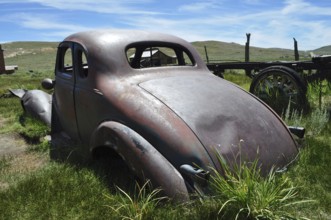Rear view of an old rusty car wreck, Chevrolet Coupé, on green space in the wilderness, Bodie Ghost