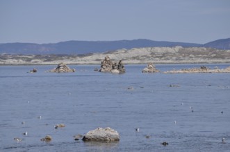 A still lake, Lake Natron, with rocks, limestone formations, and birds, Mono Lake, California, USA