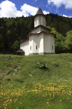 Sfantul Ilie Paltinul Monastery, Holy Prophet Elias Paltinul Monastery, Manastirea Sfântul Prooroc