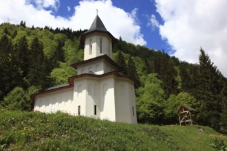 Sfantul Ilie Paltinul Monastery, Holy Prophet Elias Paltinul Monastery, Manastirea Sfântul Prooroc