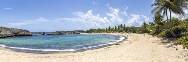 Mar Chiquita Beach in the Caribbean Ocean Vacations Panoramic in Manati, Puerto Rico