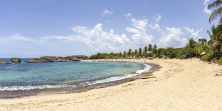 Mar Chiquita Beach Panorama in the Caribbean Ocean Vacation in Manati, Puerto Rico
