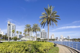 Saint Petersburg Florida promenade on Tampa Bay with palm trees in Downtown St Petersburg, USA