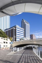 Tampa Riverwalk Promenade on the Hillsborough River Skyline with skyscrapers downtown in Tampa, USA